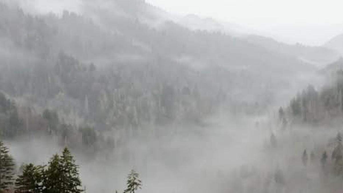 A North Carolina woman who served as a volunteer at Great Smoky Mountains National Park was found dead along a popular trail, the park says.