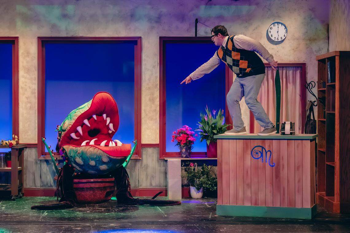 Suddenly, Seymour (Peter Liuzzo) has some words with the deadly, singing plant Audrey II in the classic Broadway show “Little Shop of Horrors” that recently ran at Theatre Charlotte.