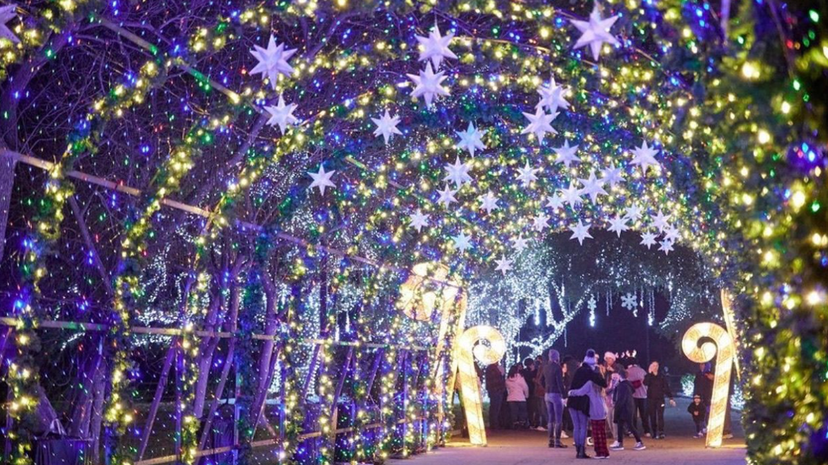 See the Carolina Holiday Light Spectacular from Dec.7-30.