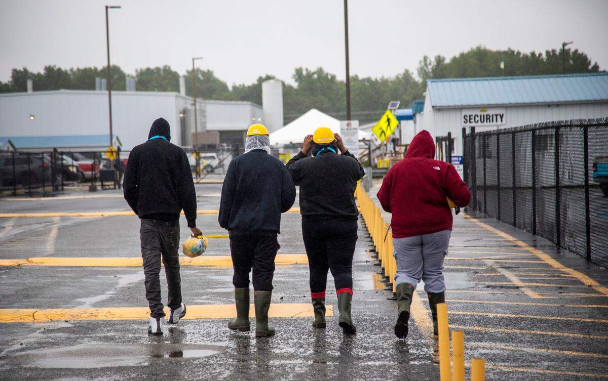 Employees report to work at the Butterball processing plant in Mount Olive Wednesday, May 20, 2020.