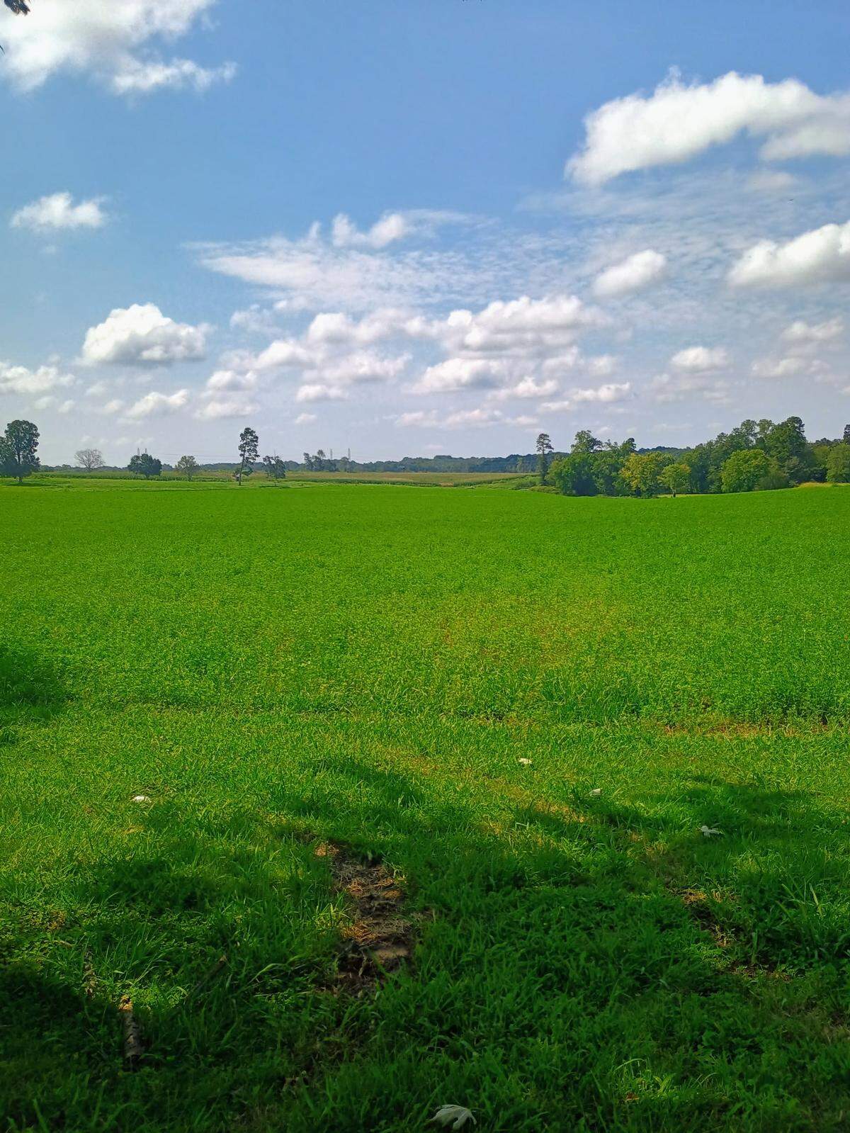 Protesters packed a Statesville Planning Board hearing Tuesday night, Aug. 26, 2025, as a Texas developer pitched plans for a massive data center on hundreds of Iredell County farm acres.