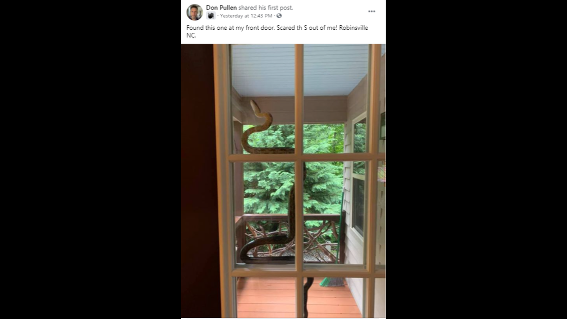 Don Pullen says he went to his door in Robbinsville, North Carolina, and ran into this snake slithering across the glass.