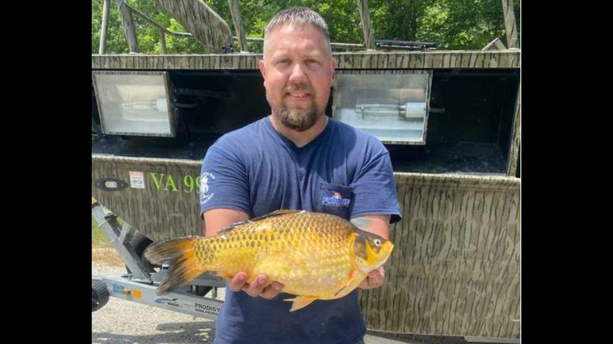 This is a pet that someone released into Virginia’s waters. It weighed nearly 4 pounds, the state says.
