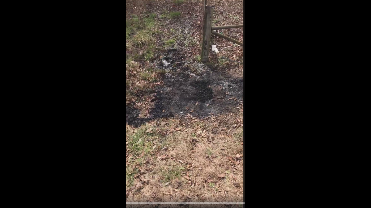 Screenshot from WCTI video of the site where the brush fire led to the discovery of a body in Craven County Monday night.