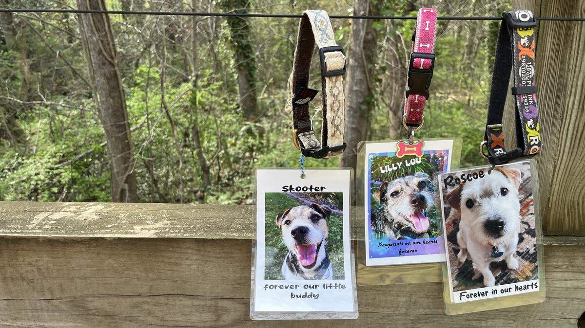 Photos of dogs who have died are displayed on Saturday, March 21, 2026, along the Rainbow Bridge in Lincolnton, N.C.