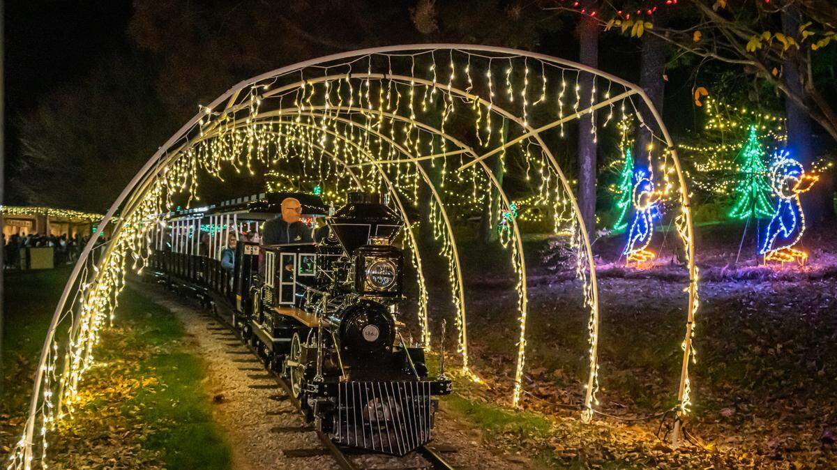 In Kannapolis, the Winterland Express train takes passengers through the Celebration of Lights displays at Village Park.