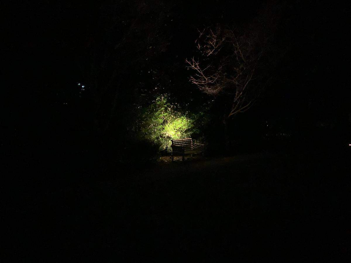 A bench in the gardens at Historic Rosedale where one of the property’s ghosts, Louise Heagy Davidson AKA “The Lady in White,” has been spotted previously by CAPS.