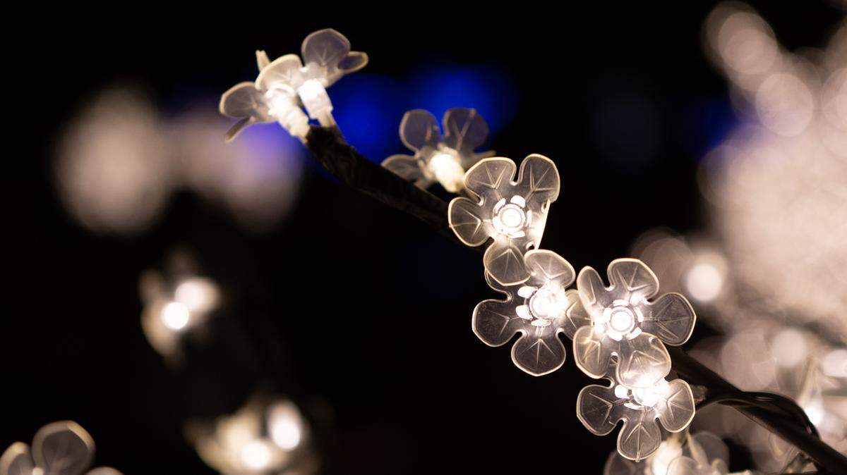 Daniel Stowe Botanical Gardens will host A Mile of a Million Lights from Nov. 29, 2019-Jan. 5, 2020 (closed Christmas Day).