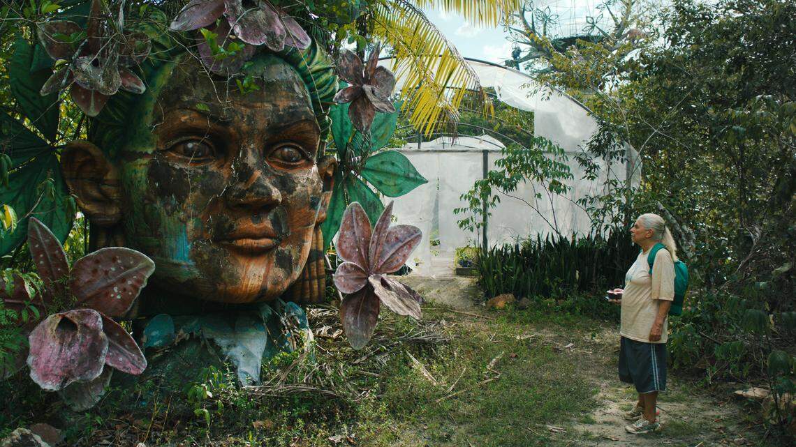 The Charlotte Latino Film Festival finds ‘joy in resistance’ during tough times