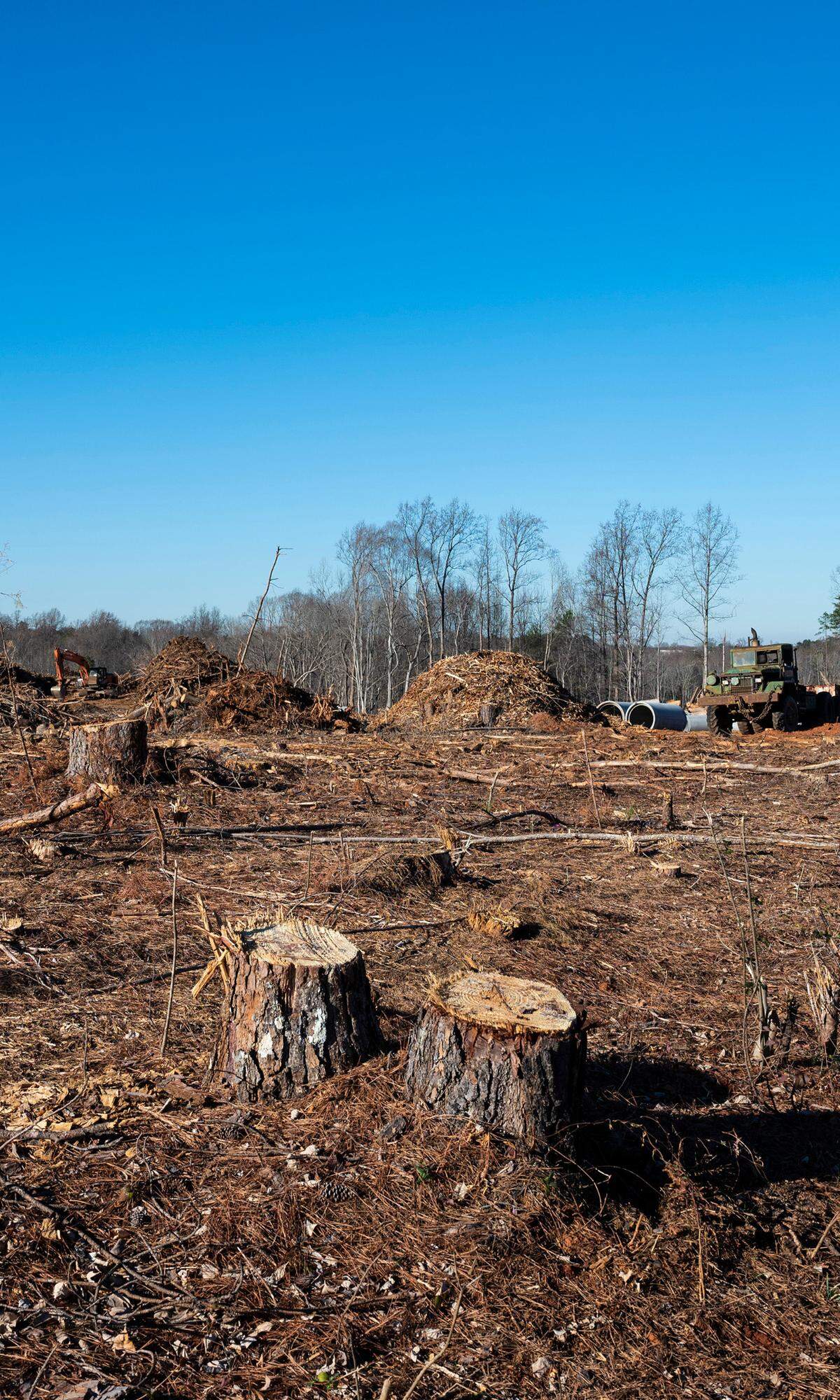 A large area of land once covered in trees on Neal Road is cleared by construction for residential development on Wednesday, December 14, 2021 in Charlotte, NC.