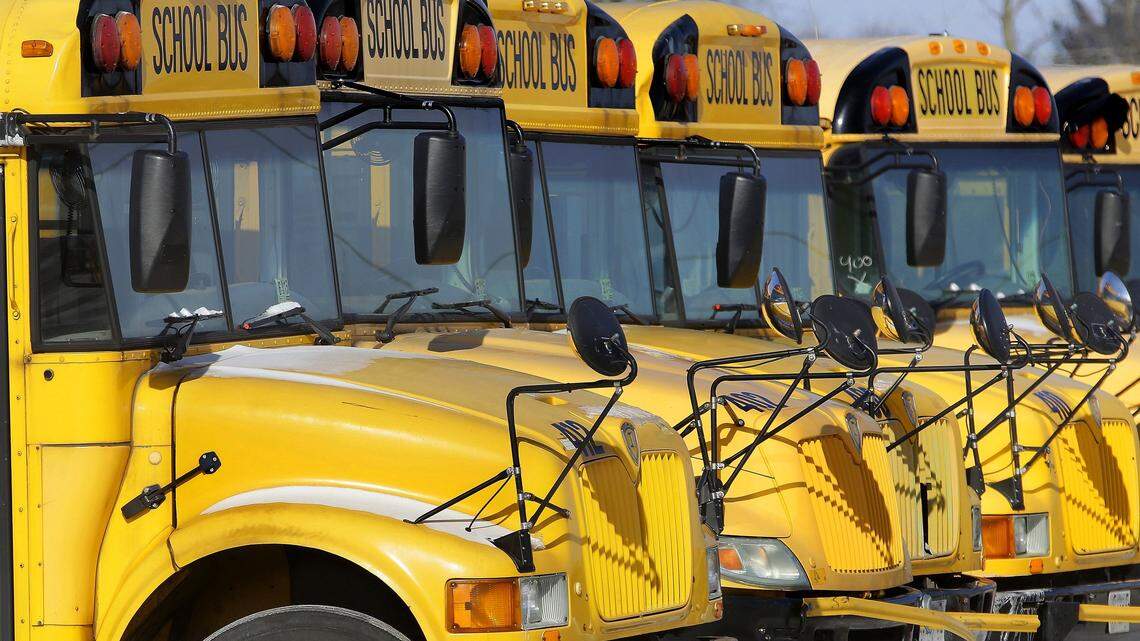 A row of school buses