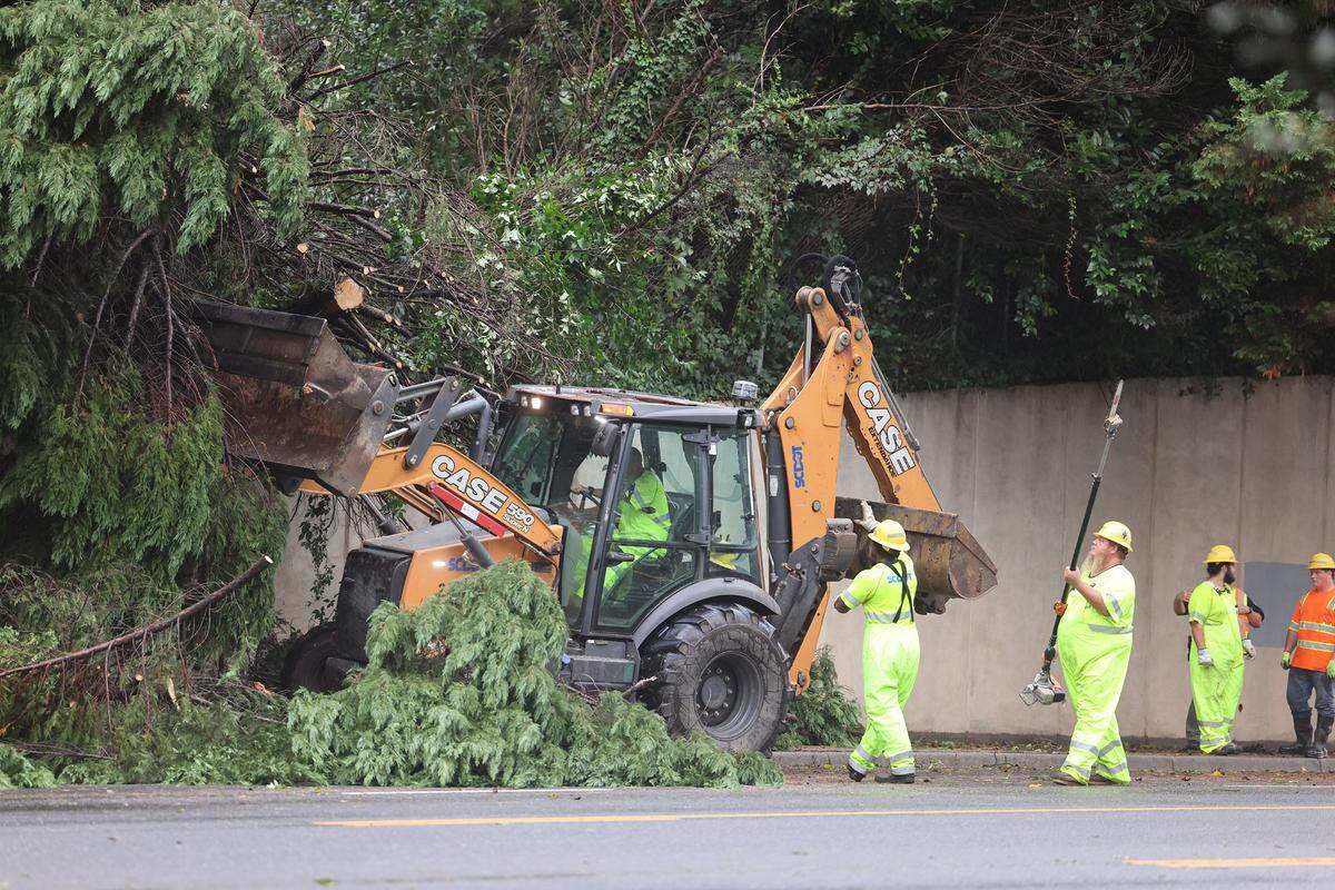 South Carolina Dept. of Transportation workers remove a large tree that fell along Celanese Road Friday in Rock Hill.