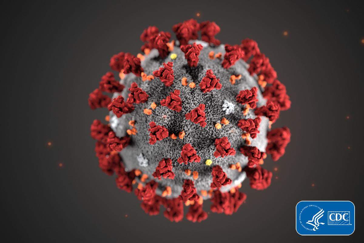 2019 Novel Coronavirus (2019-nCoV)