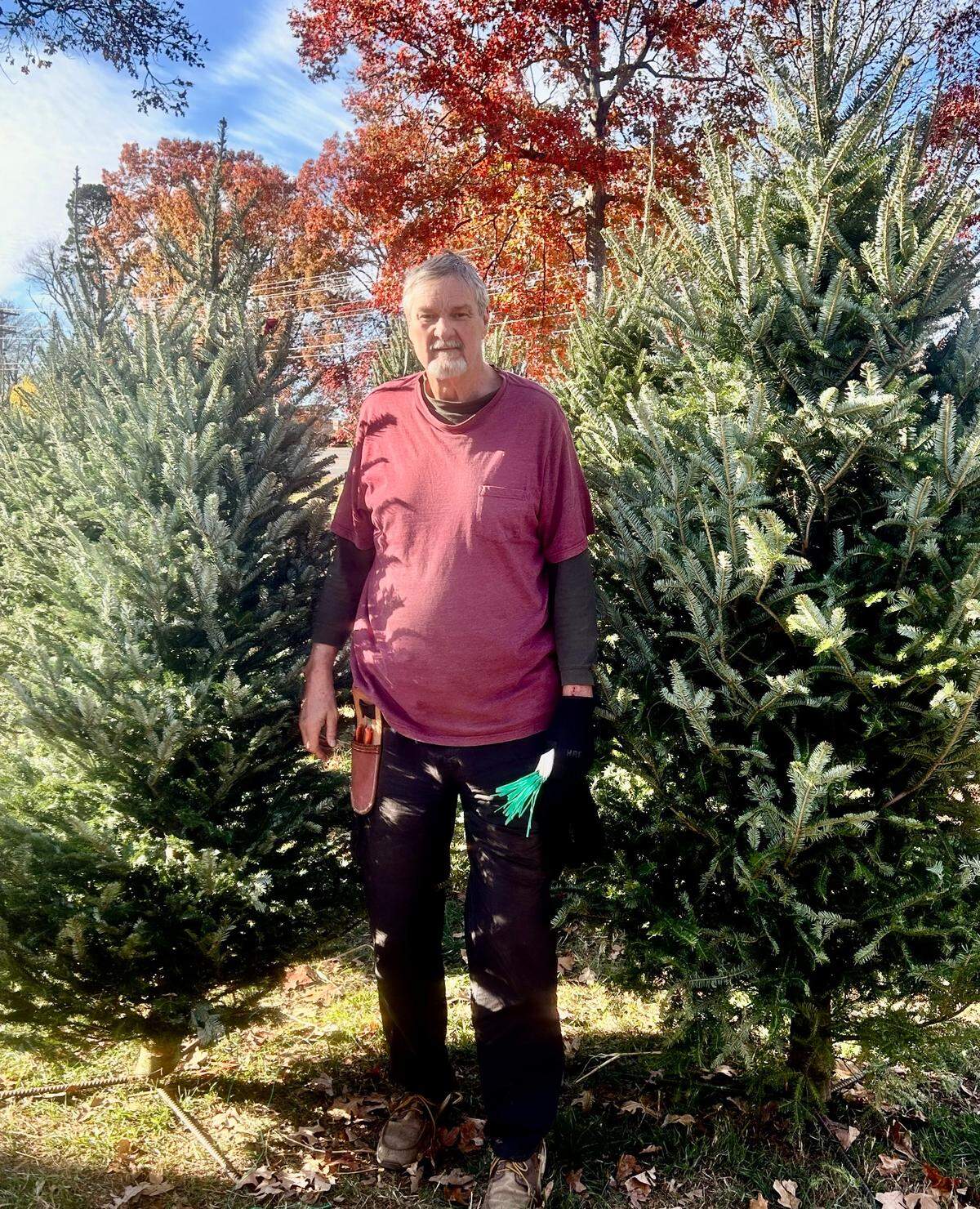Tommy Burleson, the former N.C. State basketball player, stands with some of the Christmas trees he is selling at a temporary location at Lake Norman Baptist Church in Huntersville. Burleson plans to donate the profits to Hurricane Helene relief in Avery County, which is in the N.C. mountains and is also his home.