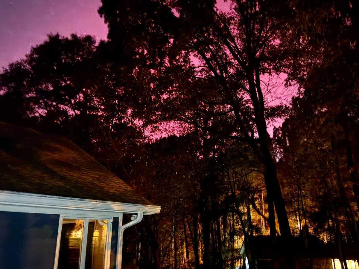 An upward-angled nighttime photo dominated by a deep magenta and purple aurora in the sky. The foreground is filled with the dark silhouettes of dense tree branches. In the bottom left, the roof and a bright, illuminated window of a suburban house are visible, contrasting the bright interior light with the powerful pink glow of the night sky.