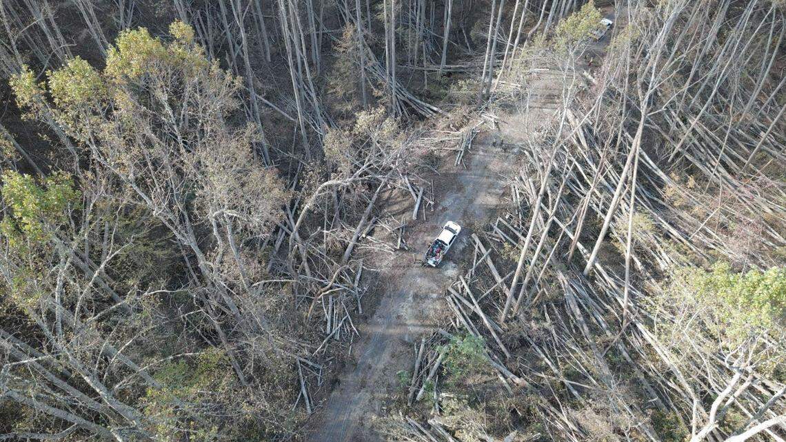 The Blue Ridge Parkway is covered with “tens of thousands of downed trees and additional debris,” the National Park Service reports.