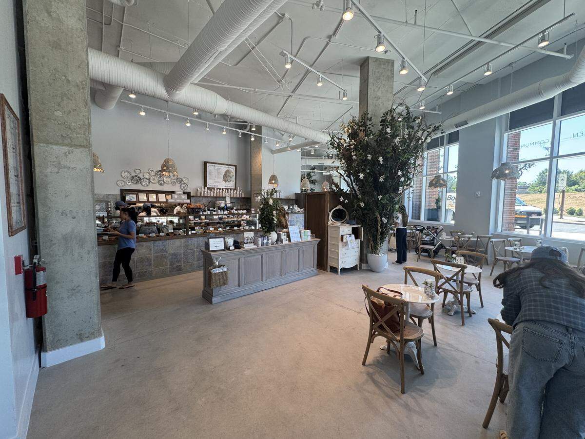 An interior view of a bright and spacious café with industrial design elements. The space features high ceilings, exposed white pipes, track lighting, and a massive concrete structural column on the left. In the background, a tiled service counter is staffed by employees, with decorative plates mounted on the wall above. The dining area contains several small, round marble-topped tables paired with wooden cross-back chairs. Large floor-to-ceiling windows on the right flood the concrete floor with natural light, and a large indoor faux tree in a white pot adds a touch of greenery near the seating.
