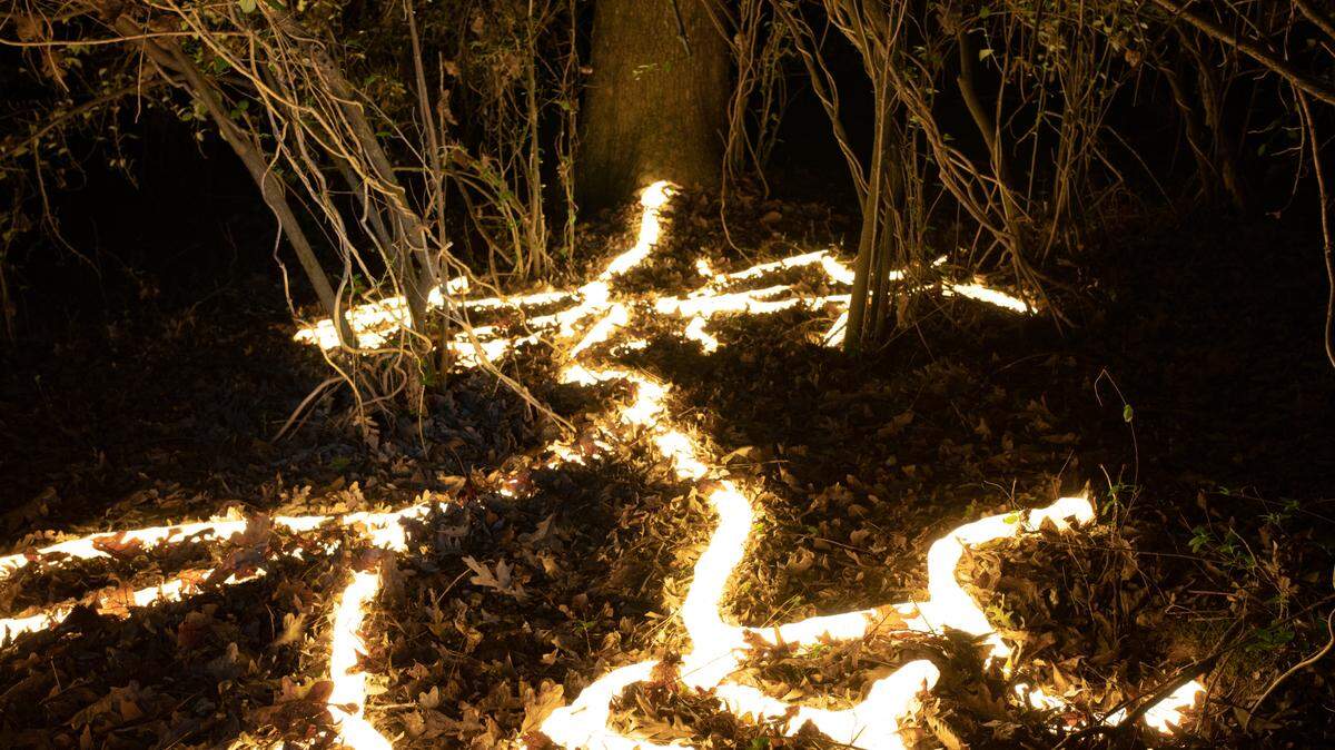 “Roots” was inspired by tree root systems that occur below ground, said artist Meredith Connelly. She tried to play with the idea of growth: three root systems debuted in 2019 and the current installation is five times the size of the one from 2019.