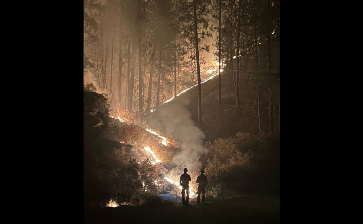 Forest Wa WA wildfire relief: How to apply for $1M emergency funding | Tri-City ...