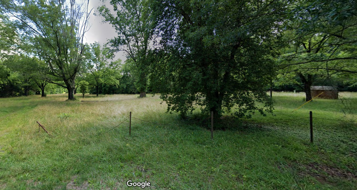Teresa Earnhardt, widow of NASCAR legend Dale Earnhardt, proposes to transform 399 of her rural acres in east Mooresville into a data center. Shown is part of the property off Rustic Road.