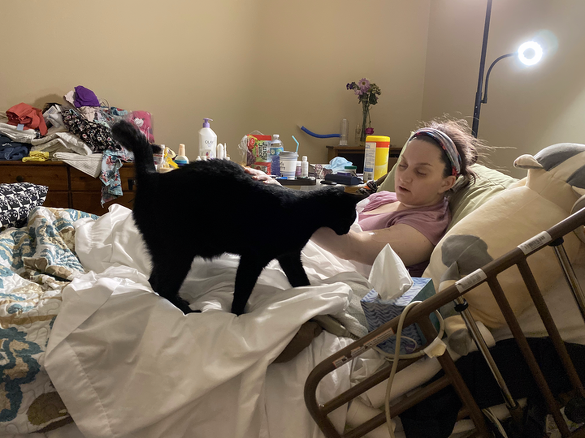 Chucks the cat was constantly with Colleen Davis in her final weeks.