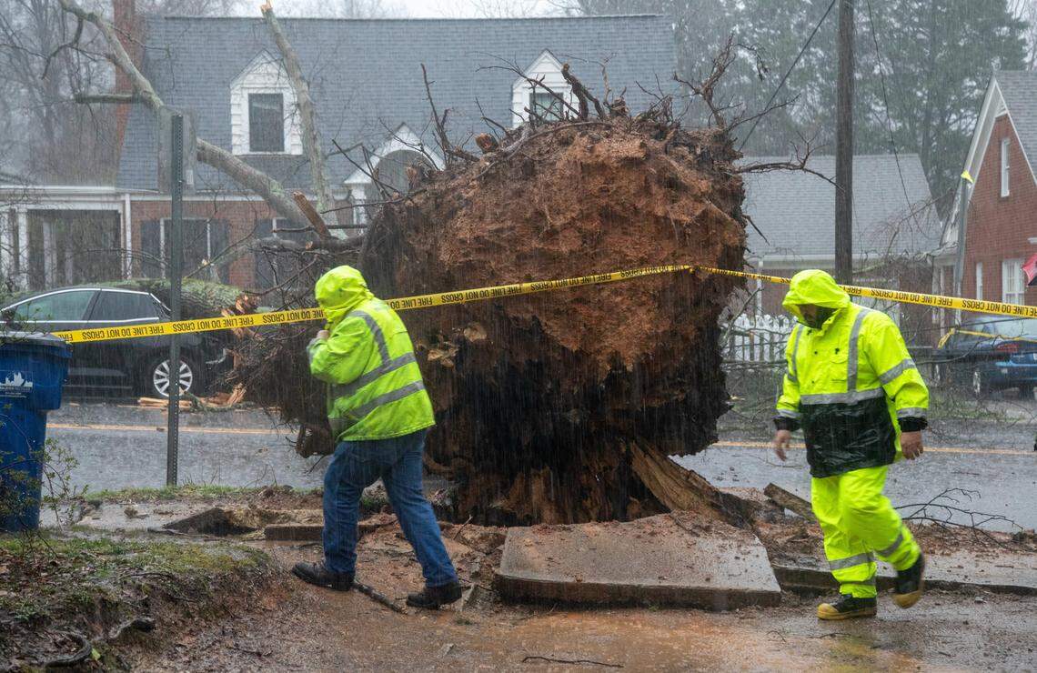 City of Raleigh workers assess damage after a tree downed utility lines and blocked Brooks Avenue in Raleigh as a storm moved through the area Thursday, Feb. 6, 2020.