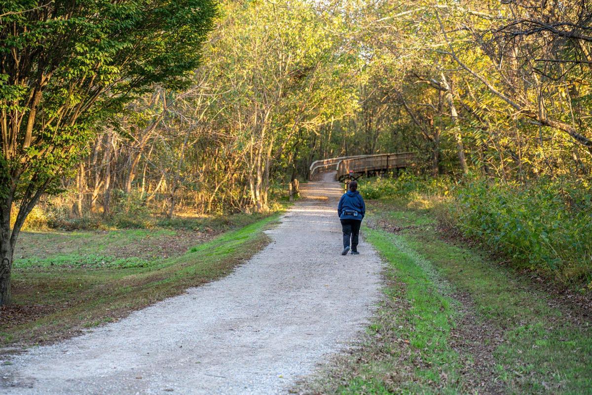 Campbell Creek Greenway is a great place to take a walk if you want an escape from the anticipation that comes with waiting for election results.