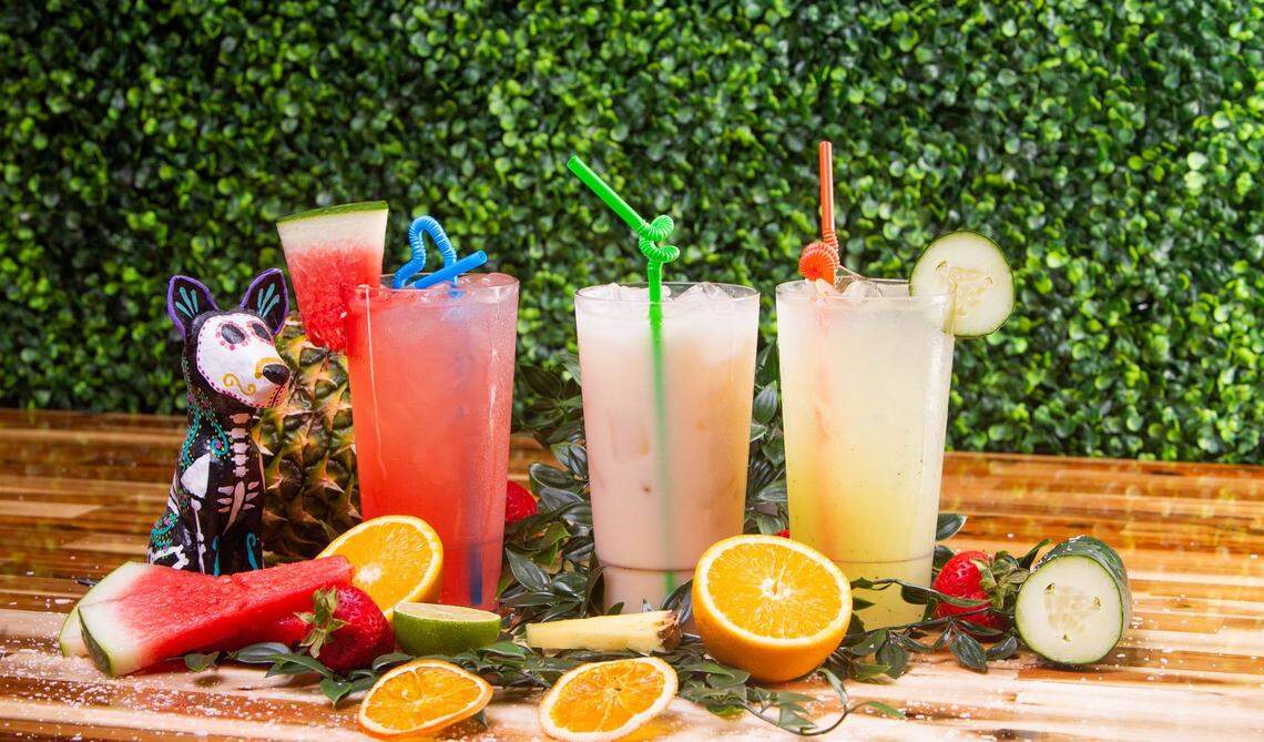 A vibrant and festive shot of four colorful cocktails arranged on a wooden surface with a lush green hedge as the background. Each drink is in a tall glass with a unique straw and garnished with fruit. A small cup with a watermelon slice, a tall pink drink, a creamy white drink with a green straw, and a yellow drink with a cucumber slice are all visible. The drinks are surrounded by fresh fruit, including watermelon slices, oranges, limes, and strawberries, along with a decorative, beaded cat figurine on top of a pineapple.