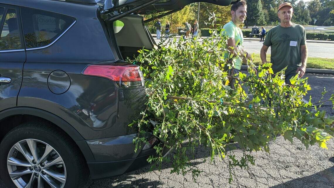 TreesCharlotte is giving away 500 trees. Here’s how to get one (or two).