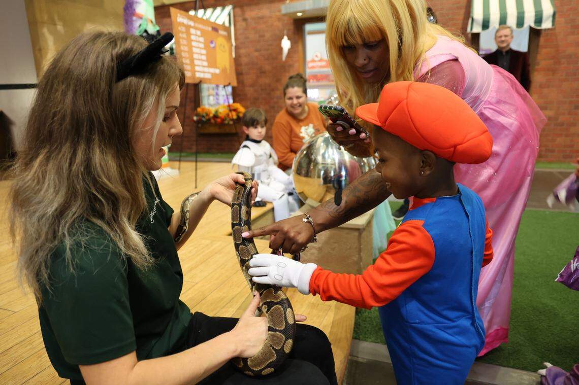 “Ghouly Gala: A Science Spooktacular” returns to Discovery Place Kids-Huntersville in October. The annual event features STEM-inspired fun with hair-raising experiments, creepy creatures, hands-on exhibits and special programs.