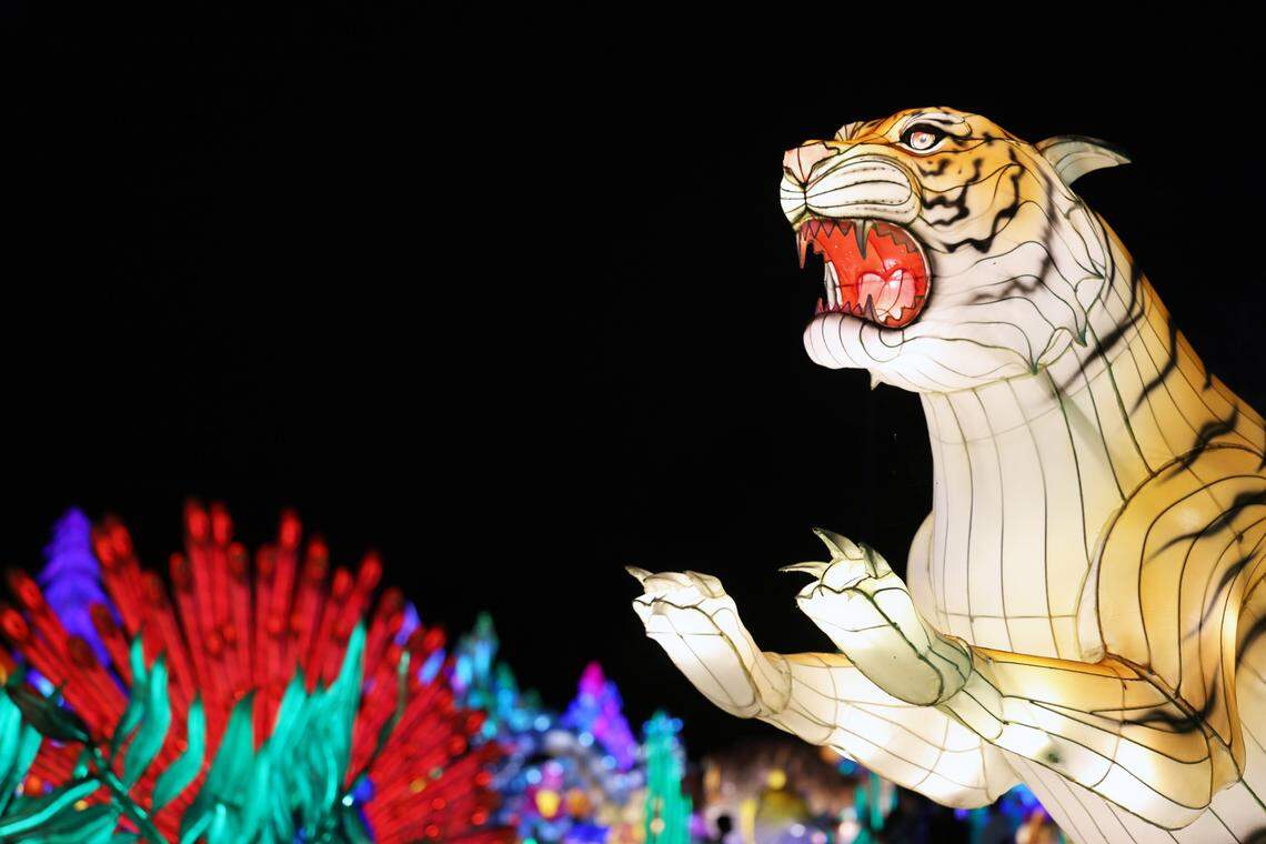 An immersive experience that combines nature’s wonders with glowing artistry creates an enchanting world of wildlife at the Tianyu Lights Festival, including tiger lanterns, at Concord Mills in Charlotte, N.C.