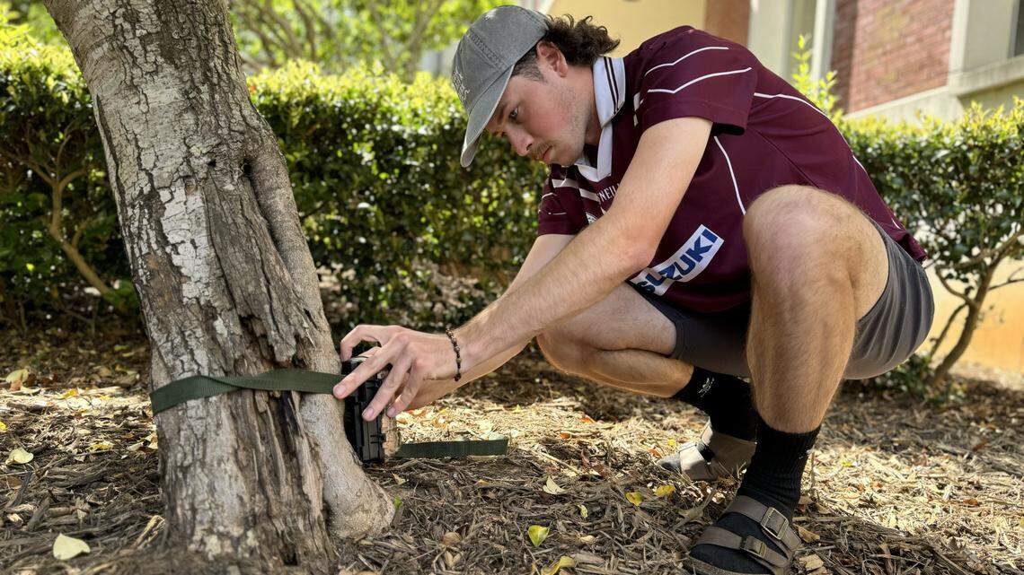 See the Charlotte wildlife captured on college student’s motion-triggered cameras