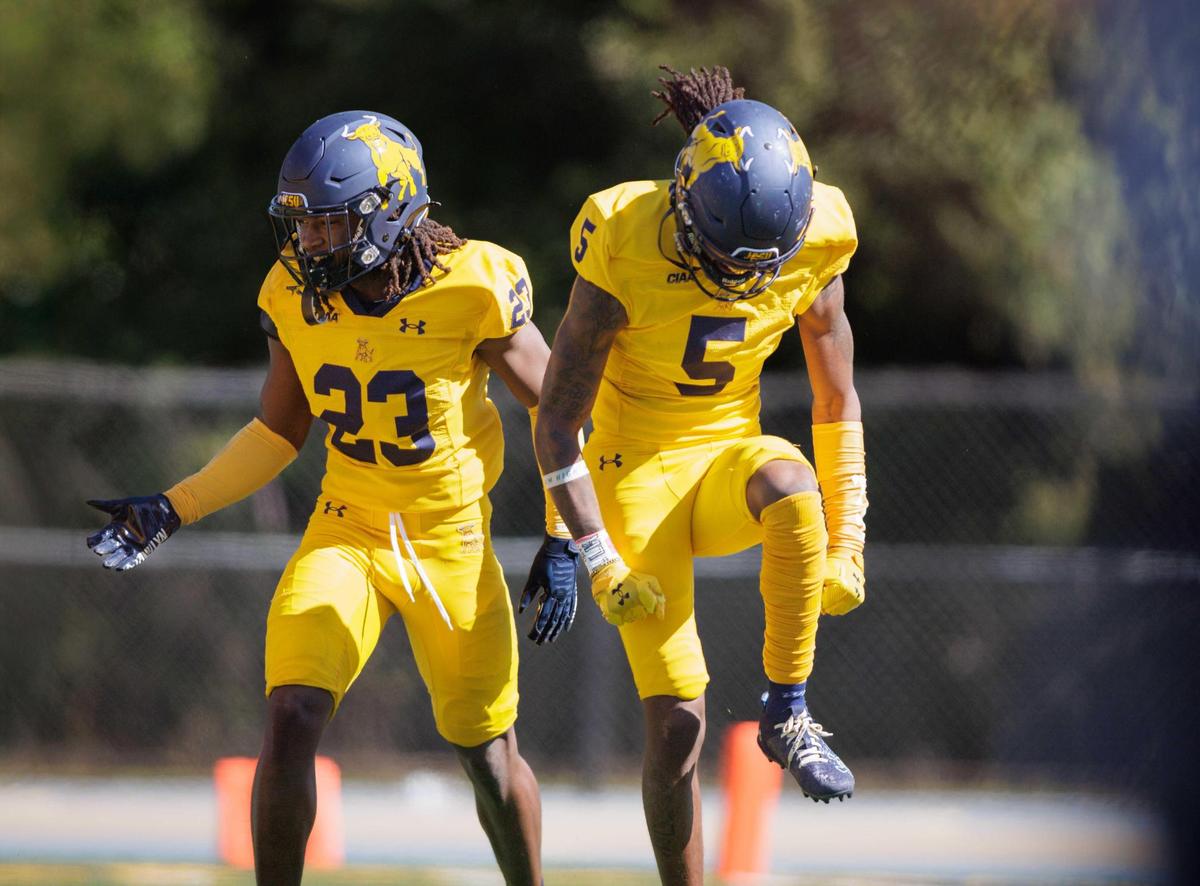 The Bulls Christian Hanks (23) and Tyrek Williams (5) celebrate a sack against Shaw University. The Bulls go to 7-0 as they defeat Shaw University 21-14 Saturday October 19, 2024.