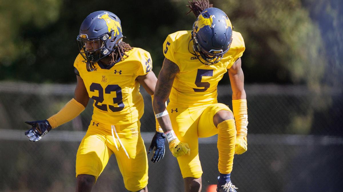 The Bulls’ Christian Hanks (23) and Tyrek Williams (5) celebrate a sack. The Bulls go to 7-0 as they defeat Shaw University 21-14 on Saturday, October 19, 2024.