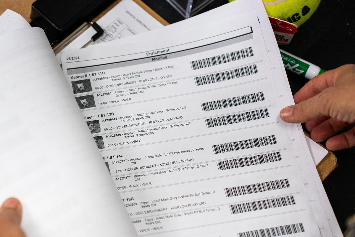 One of the many ways Charlotte Animal Care and Control keeps track of all the animals in its care. This booklet keeps track of every time a dog is walked.