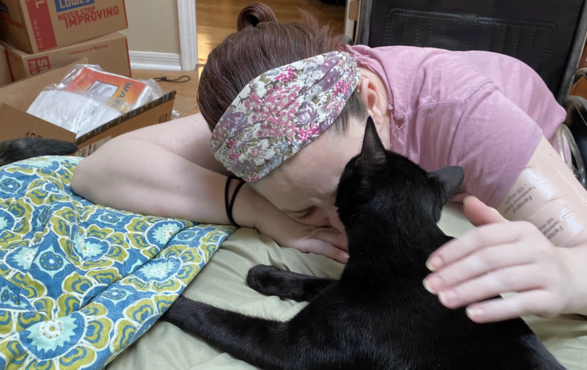 Near the end of Colleen Davis’ life, her cats stayed by her side.