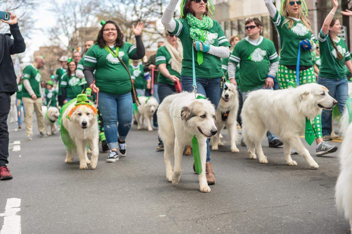 The 24th annual Charlotte St. Patrick’s Day parade and festival scheduled for Saturday has been postponed, organizers said Thursday afternoon.