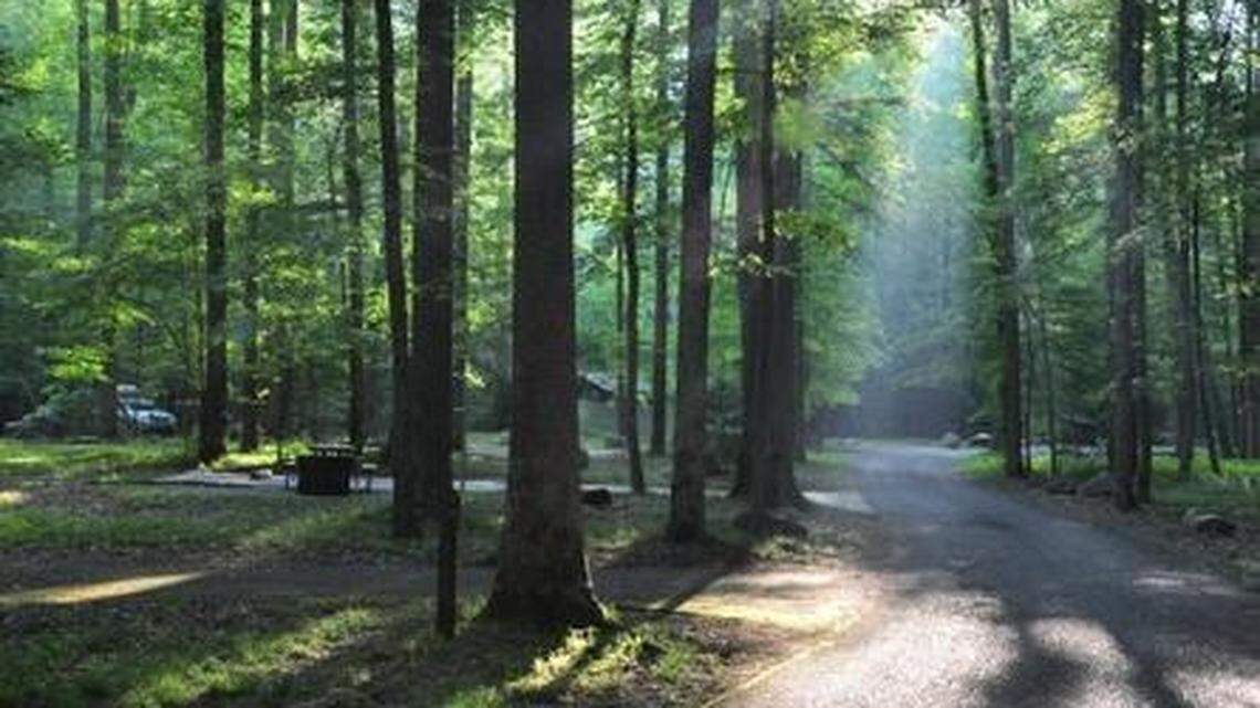 A 7-year-old Georgia girl was killed July 27 when a large tree crashed onto a family’s tent at Elkmont Campground in Great Smoky Mountains National Park.