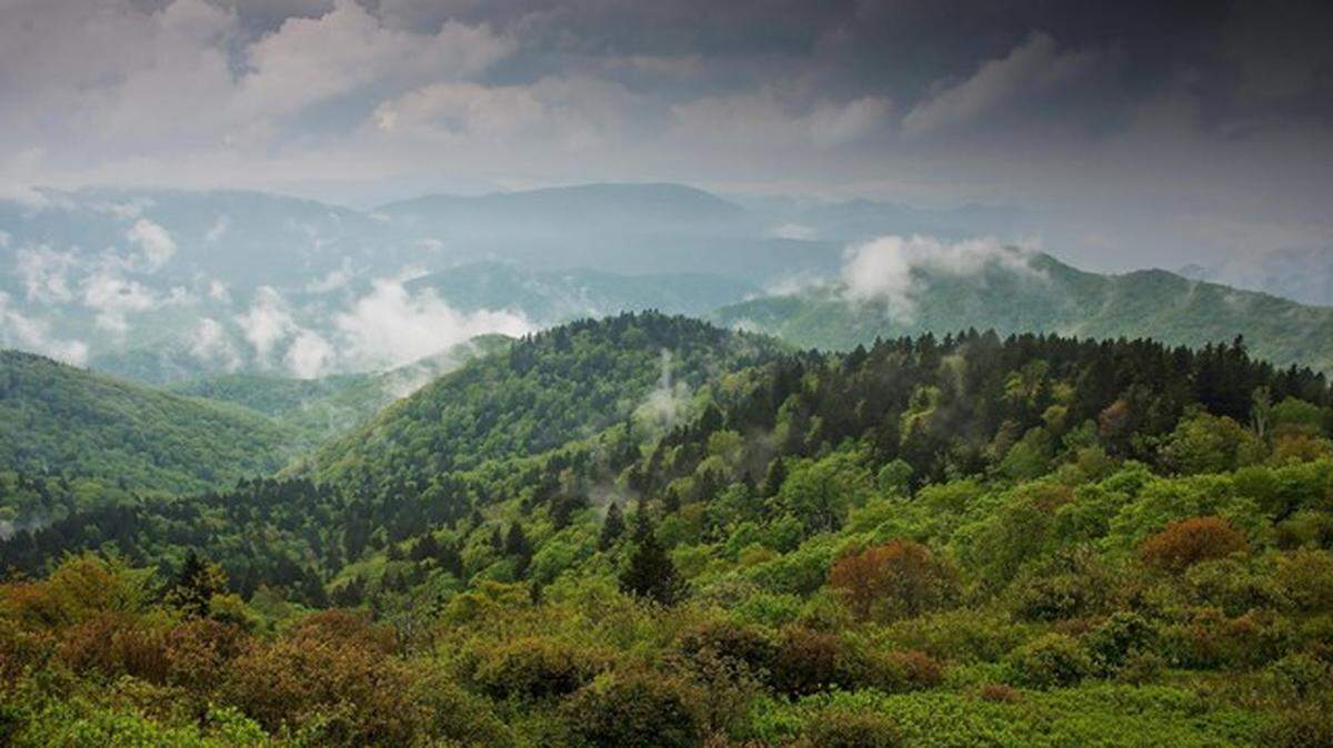 An earthquake was recorded early Sunday, June 4, in West Canton, North Carolina, the fifth quake to hit the area since May 23, according to the United States Geological Survey.