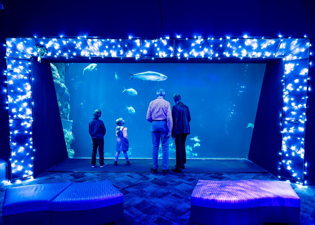 Experience the aquarium like you never have before this holiday season.