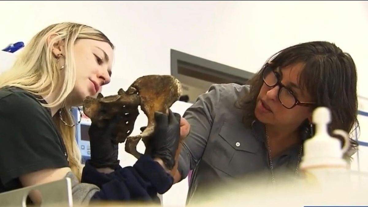 Bones in boxes, clues to 130 cold cases in North Carolina. Who were they?