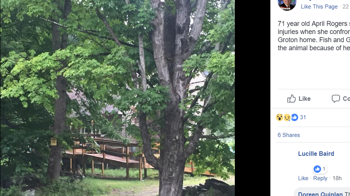 The site of a bear attack in Groton, New Hampshire, was posted by Ray Brewer on Facebook.