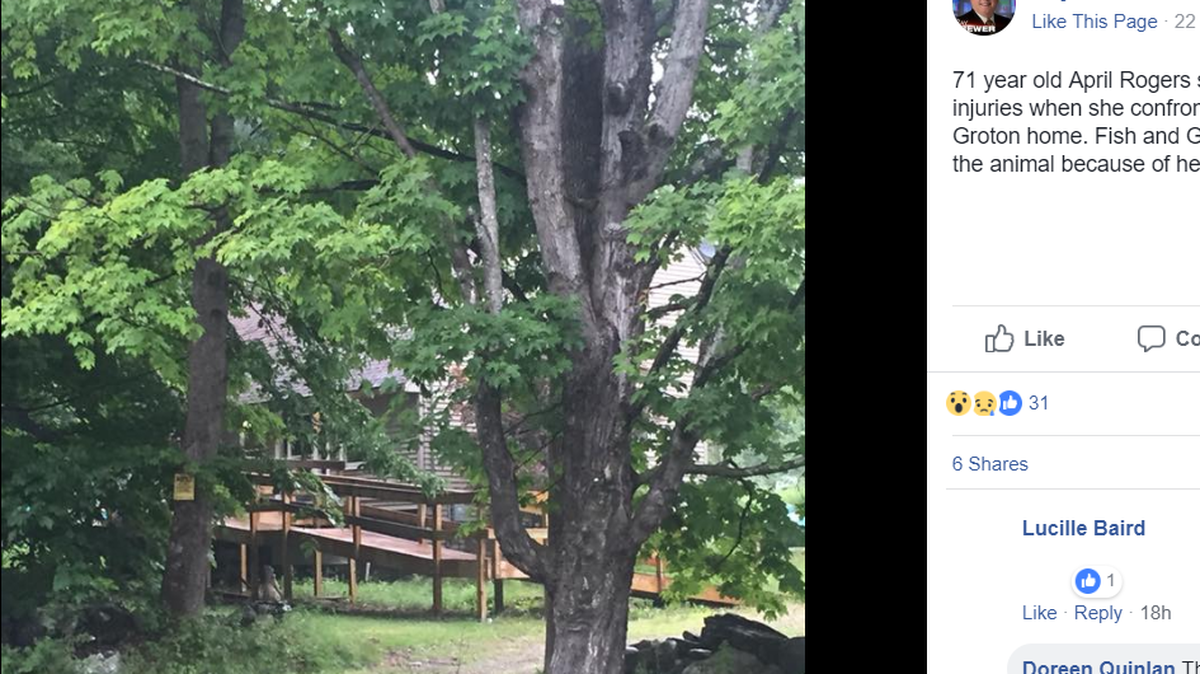 The site of a bear attack in Groton, New Hampshire, was posted by Ray Brewer on Facebook.