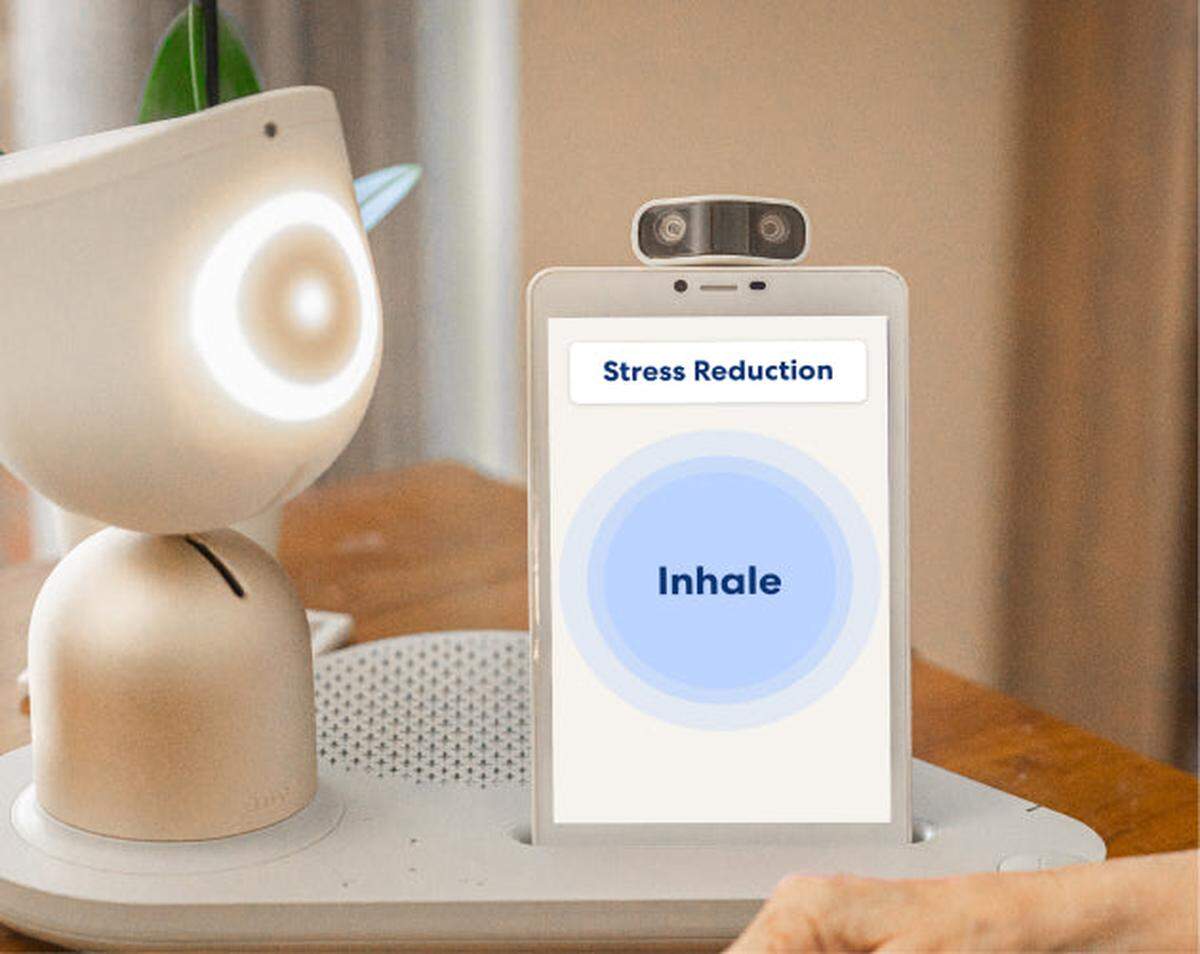An example of the type of companion robot being studied by Durham Family Medicine.
