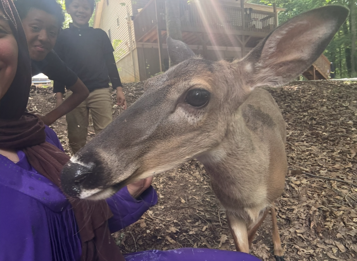 A close-up selfie taken in a wooded area shows a deer featured prominently on the right, with white residue on its nose from feeding. Behind the deer, a partially visible parent and two young children smile at the camera. A wooden house and deck are visible in the background.
