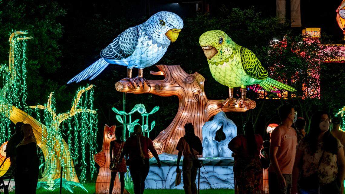 Concord Mills expands lineup with lantern festival, new stores and rescued turtle