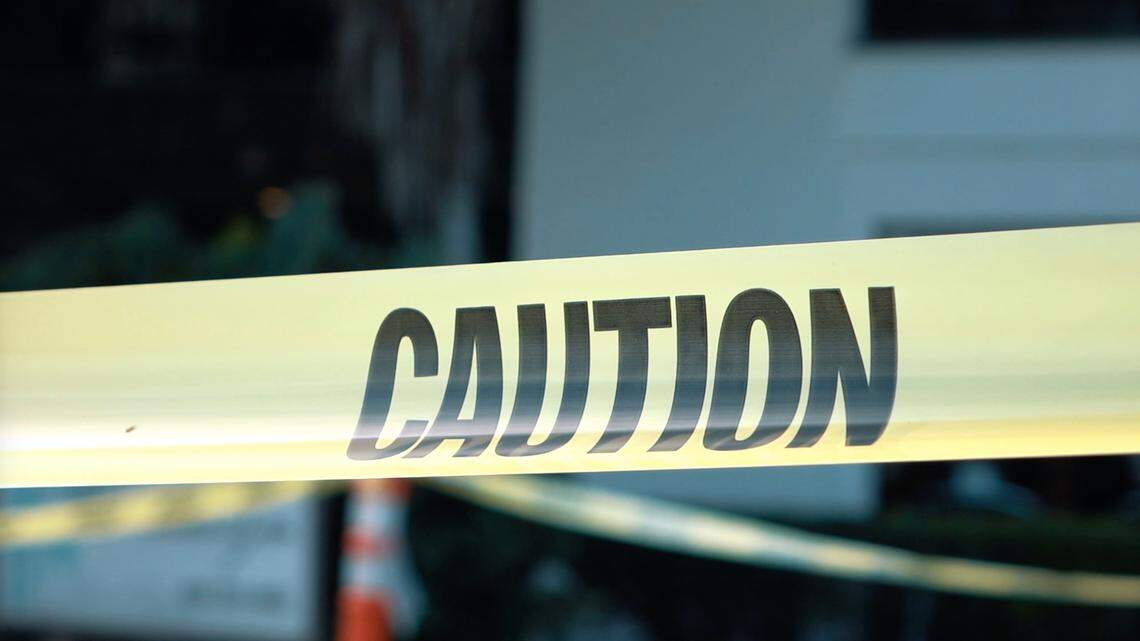 A 74-year-old woman died after she was stabbed by her son, California police say.