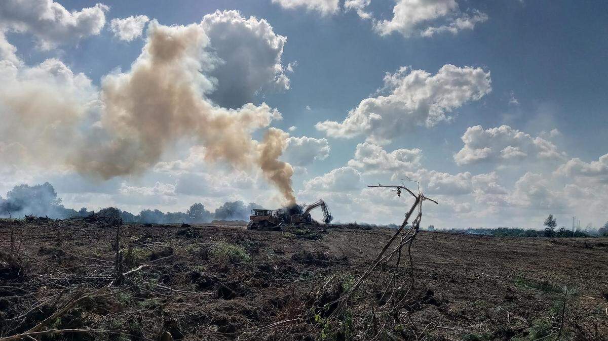 Behind Helms Shortcut Road in Monroe where the Cody Downs development was set to take place heavy machinery works to remove trees on June 24, 2021.