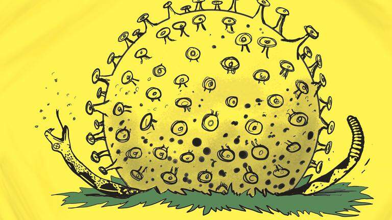 Kevin Siers cartoon: New Covid Shutdown Protest Banner