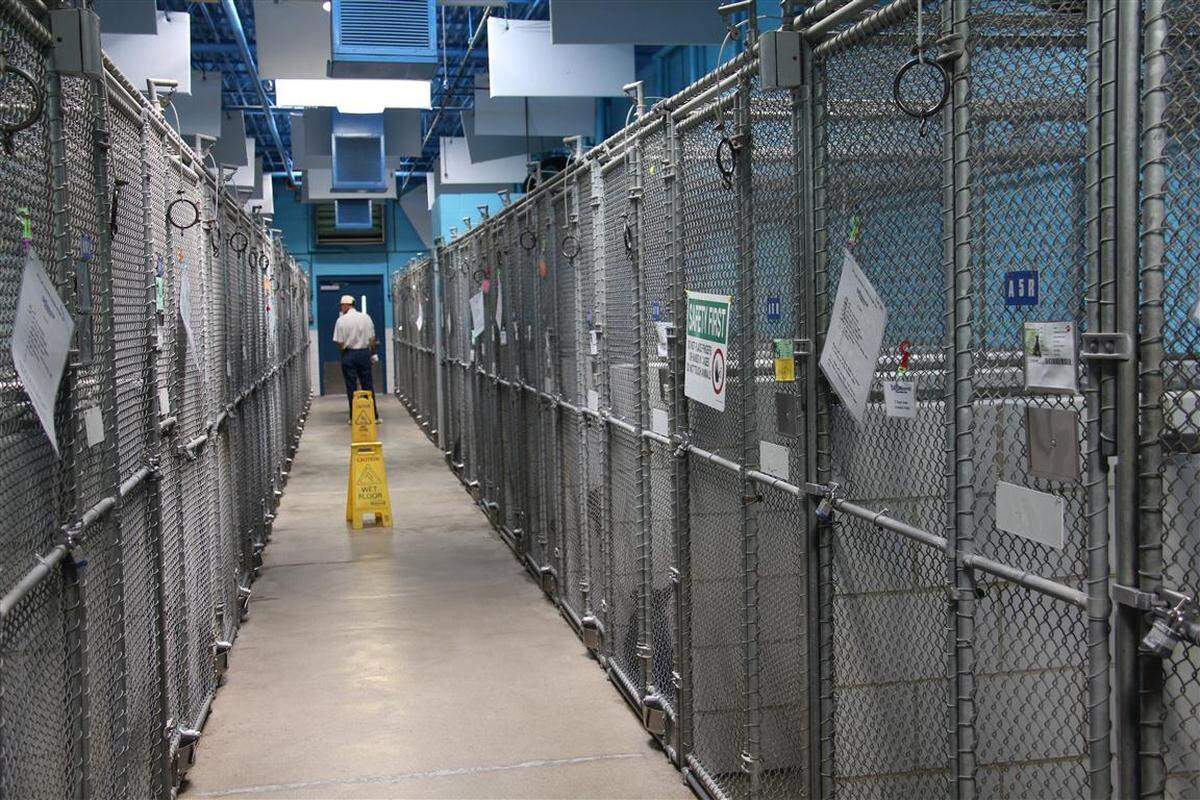 The adoption kennels at CMPD Animal Care and Control on Byrum Drive near Charlotte Douglas International Airport.